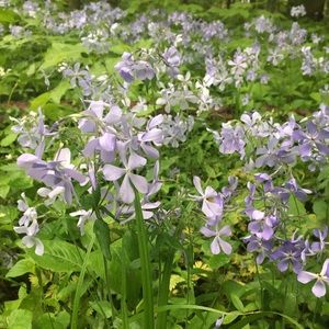 Meet your Posher, Kaia